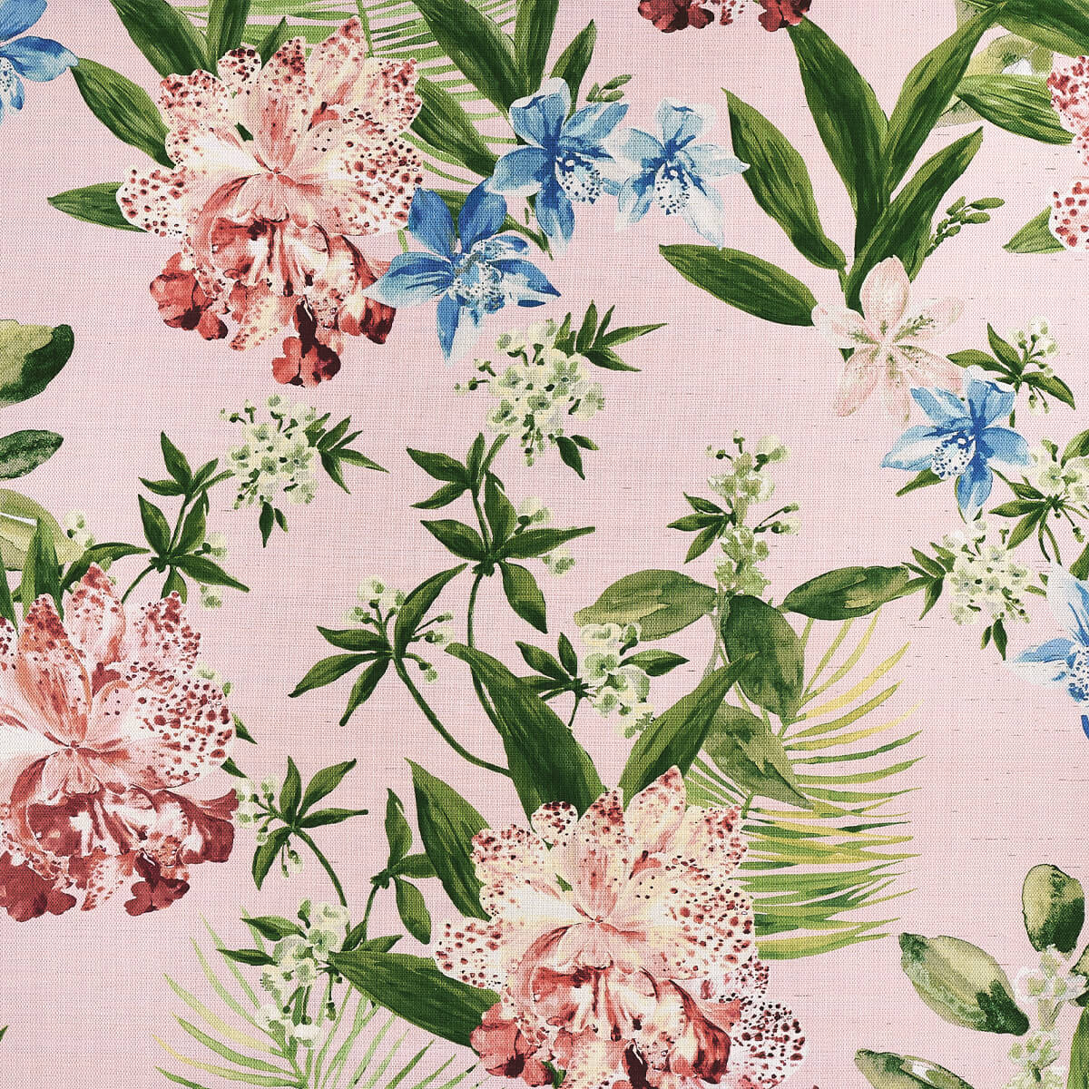 Aloha Orchids 10557