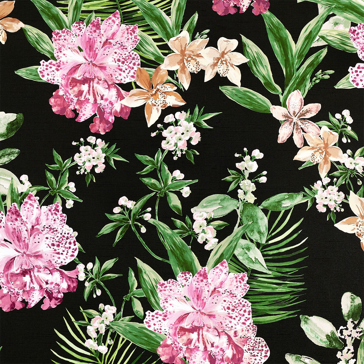 Aloha Orchids 10559