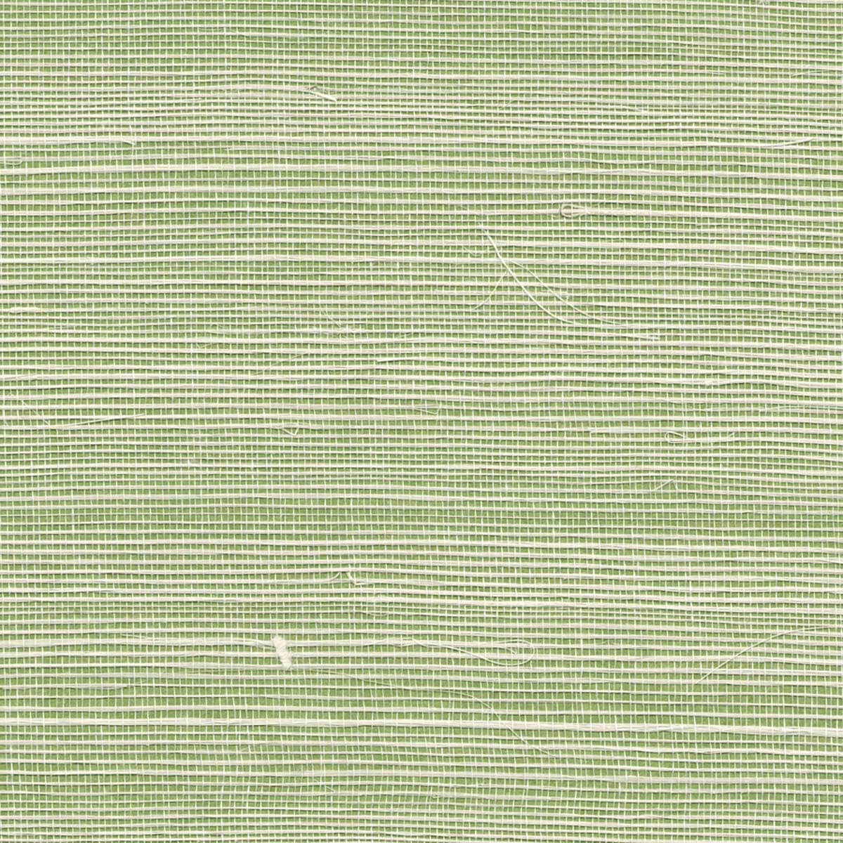 Bermuda Hemp 5253