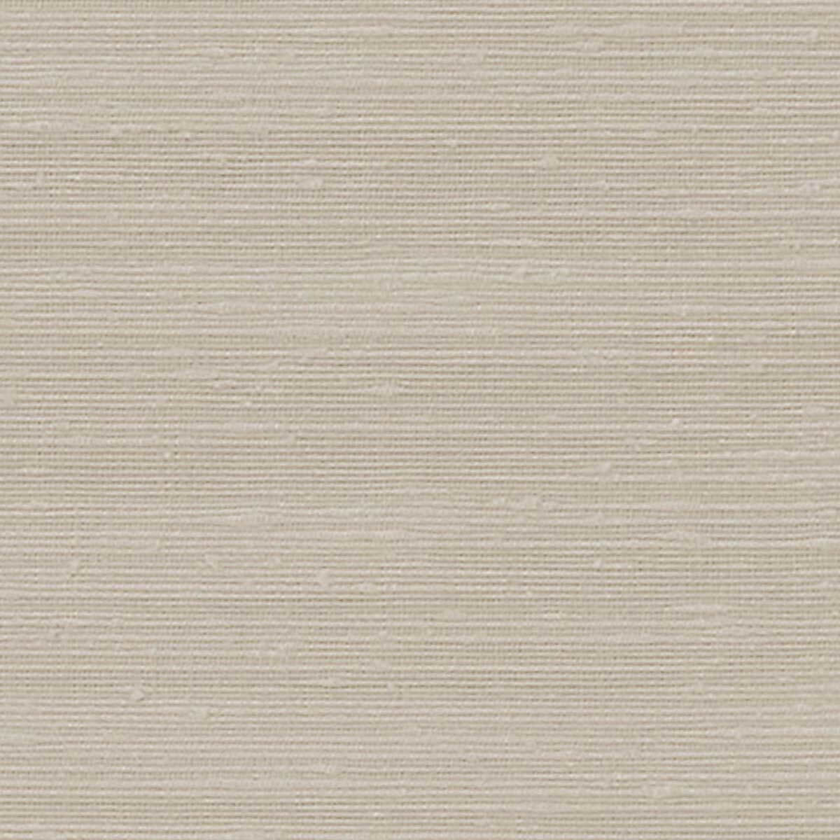 Boucle Nights 8972