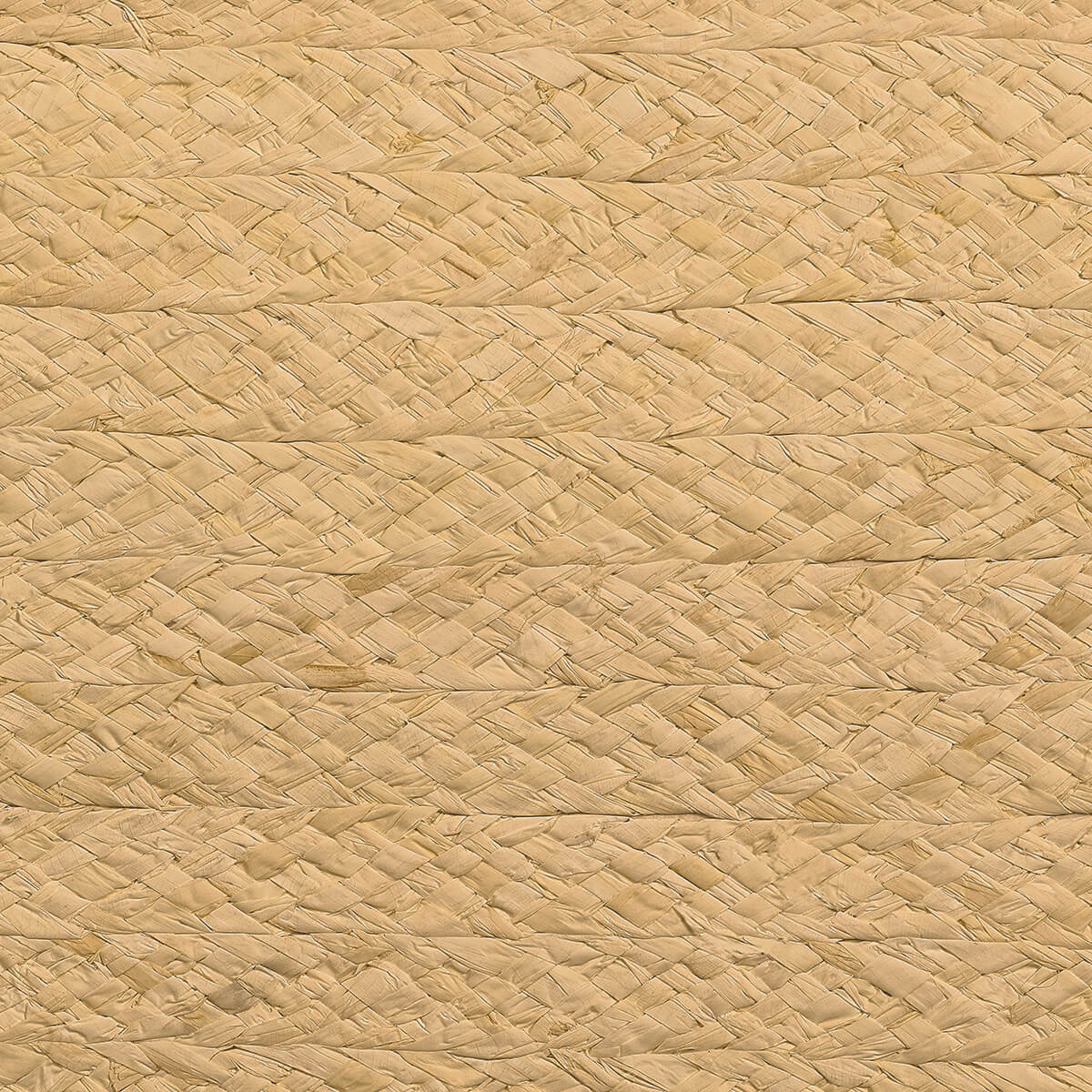 Braided Raffia 10298