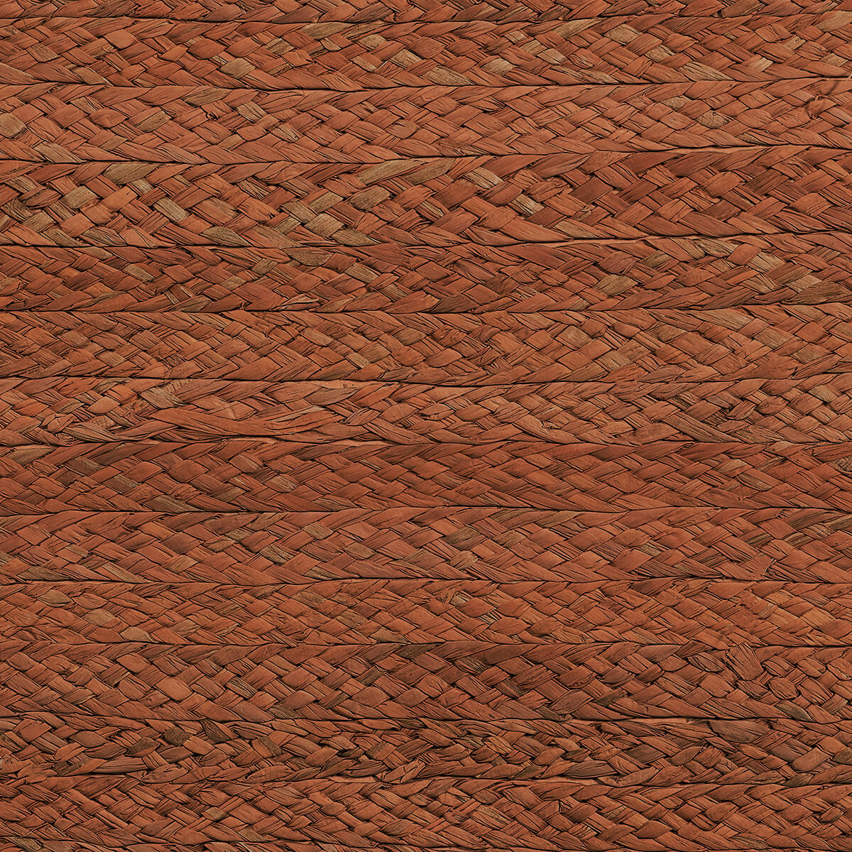 Braided Raffia 10370