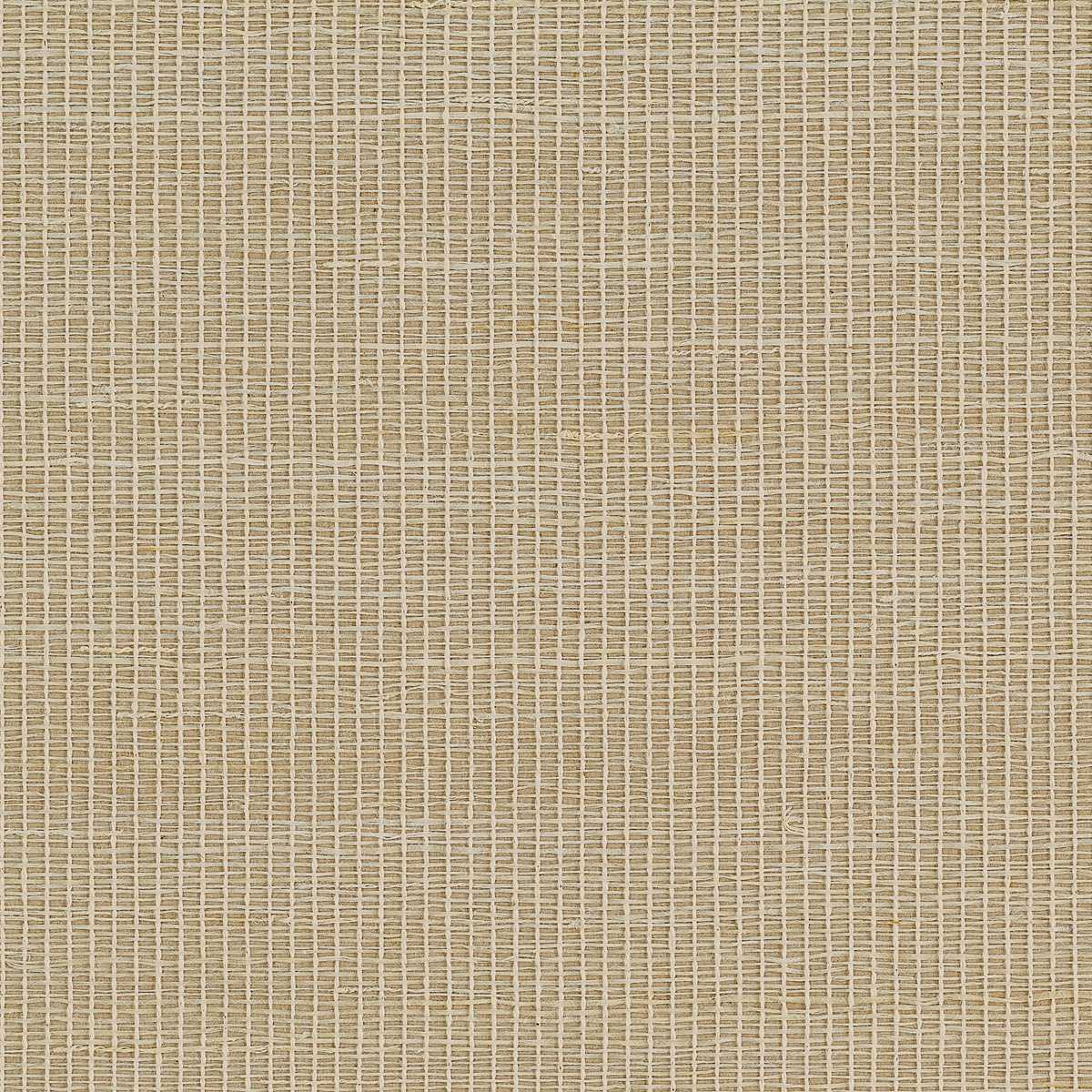 Brighton Weave 31701