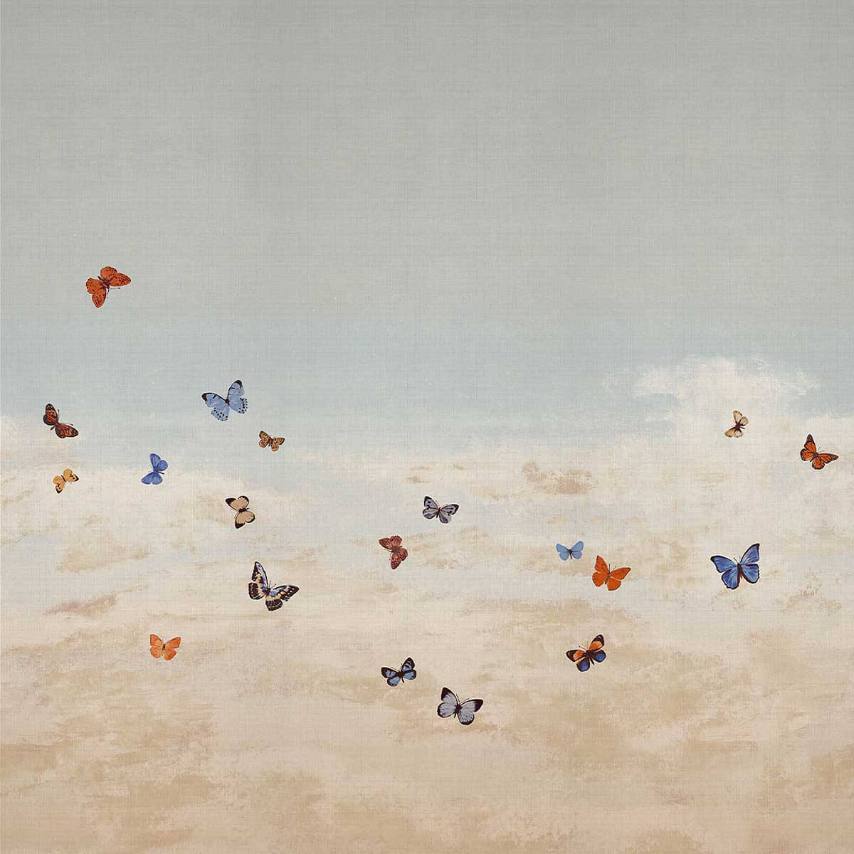 Butterfly Sky 9666