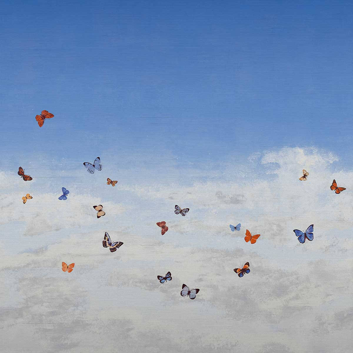 Butterfly Sky 9669