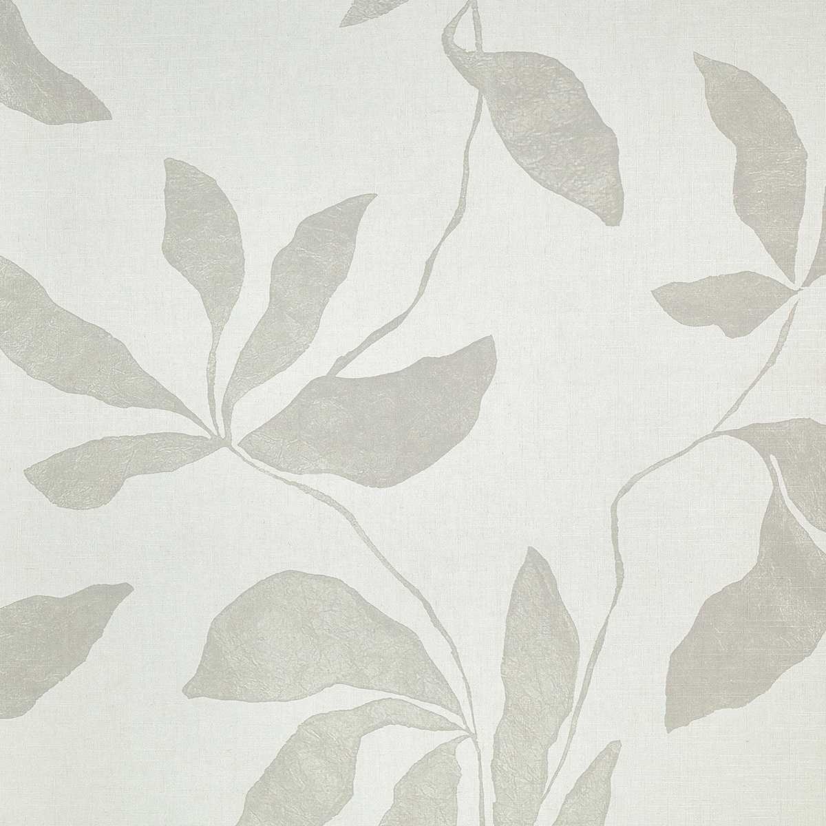 Desert Ivy 40200