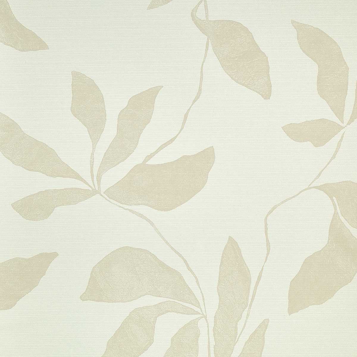 Desert Ivy 40201