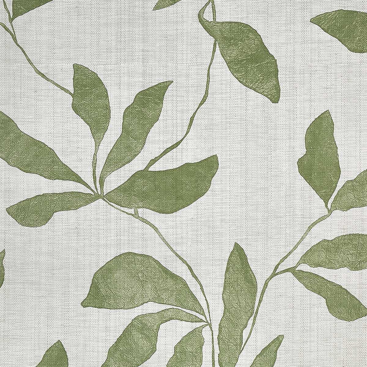 Desert Ivy 40203