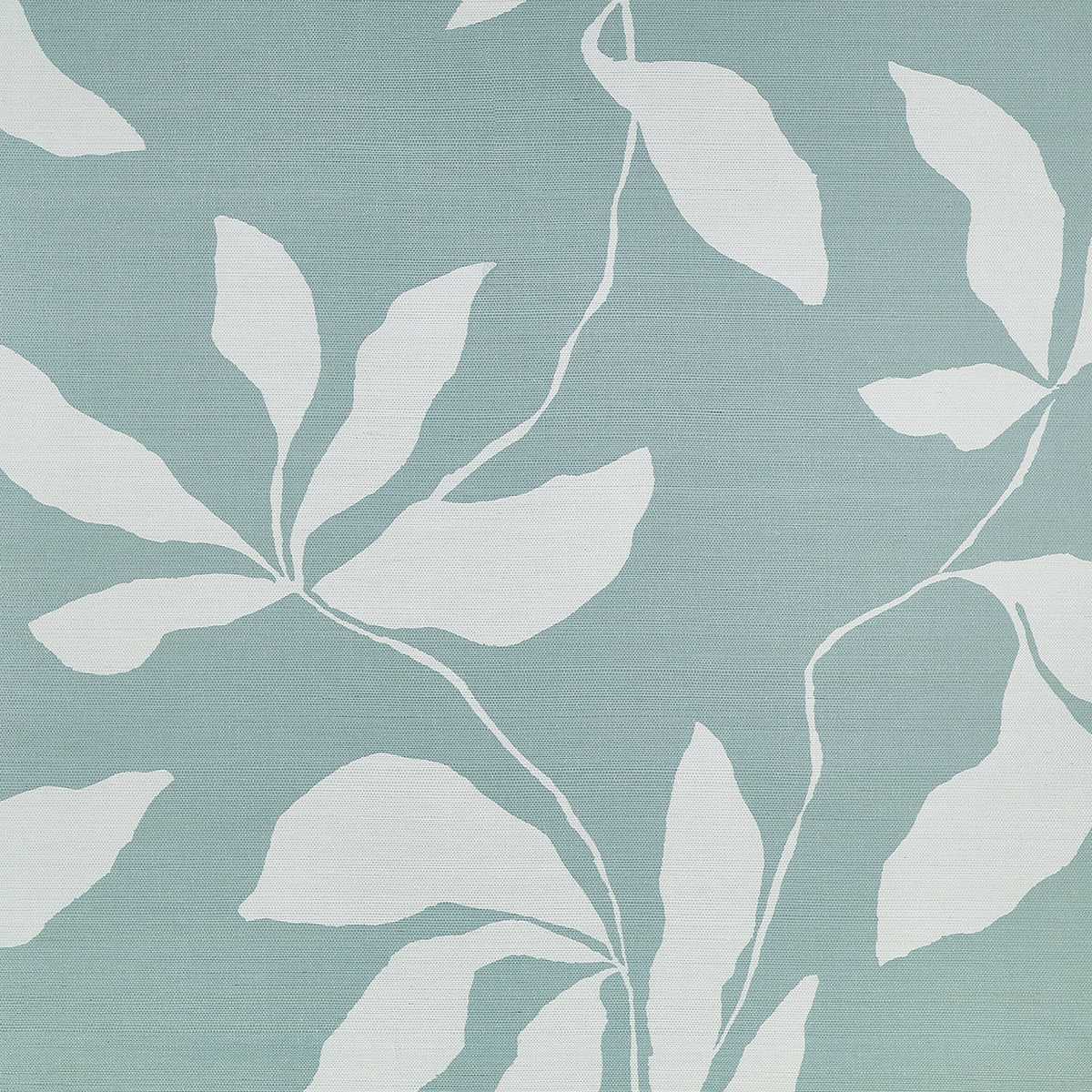 Desert Ivy 40205
