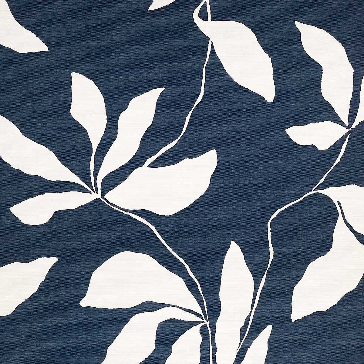 Desert Ivy 40206
