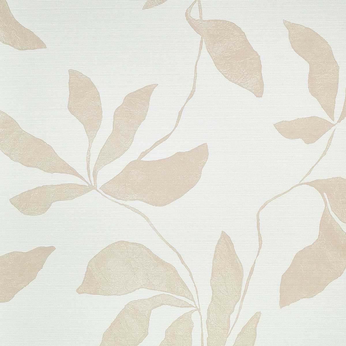 Desert Ivy 40208