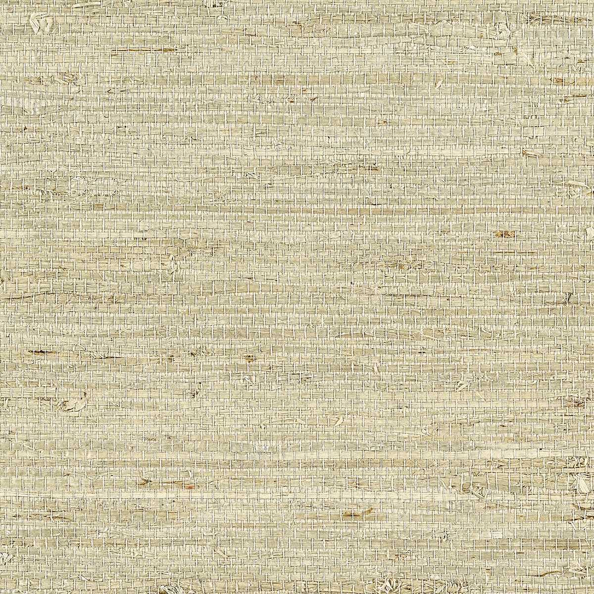 Extra Fine Arrowroot 10808