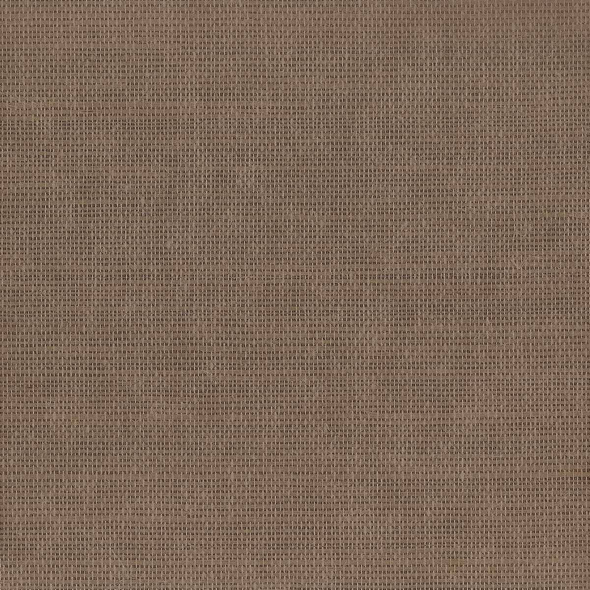 Glimmering Grass 37107