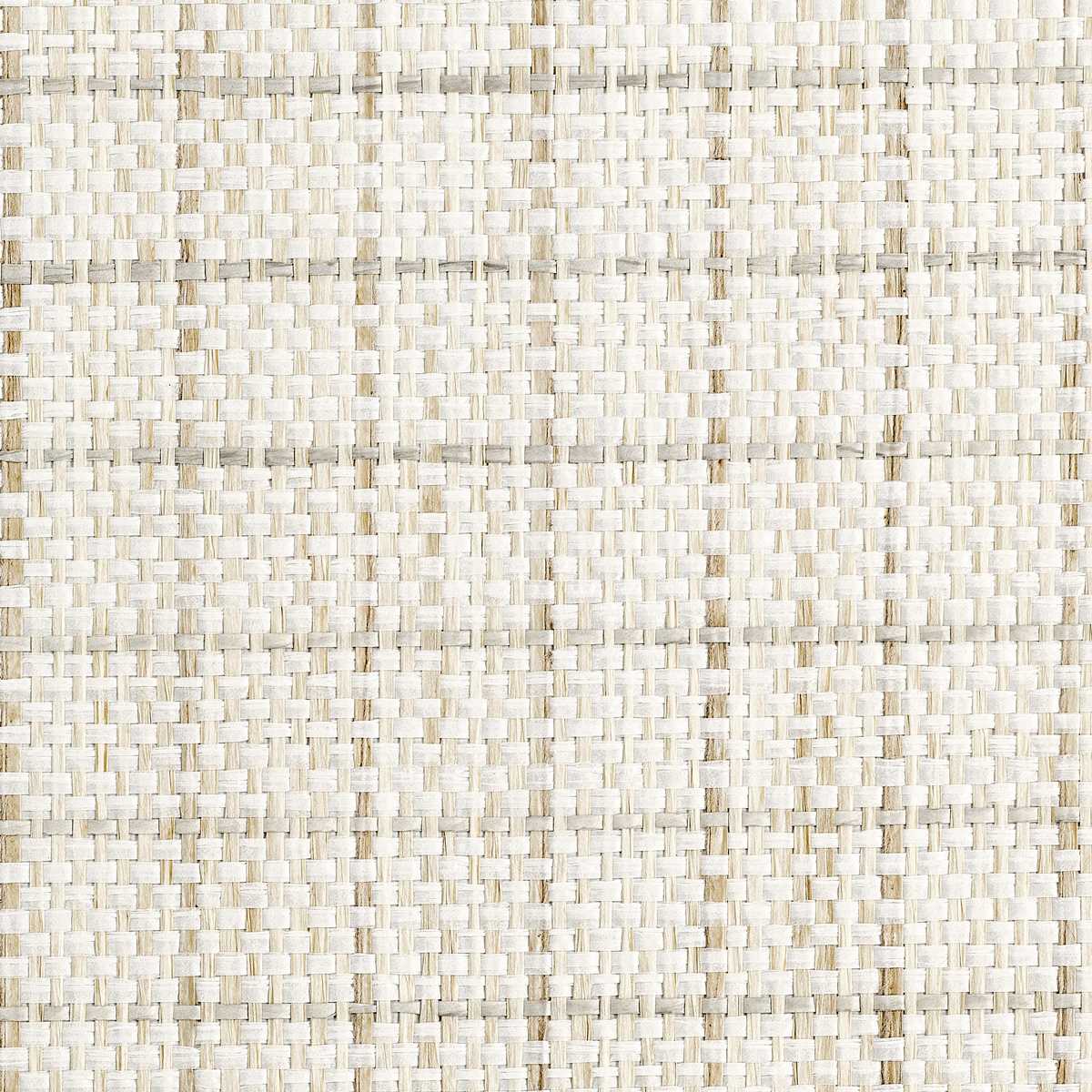 Graceful Grid 10477