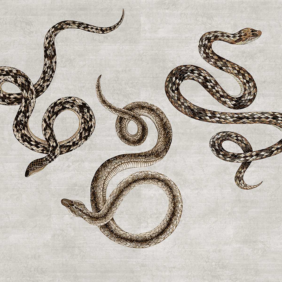 Serpent 10601