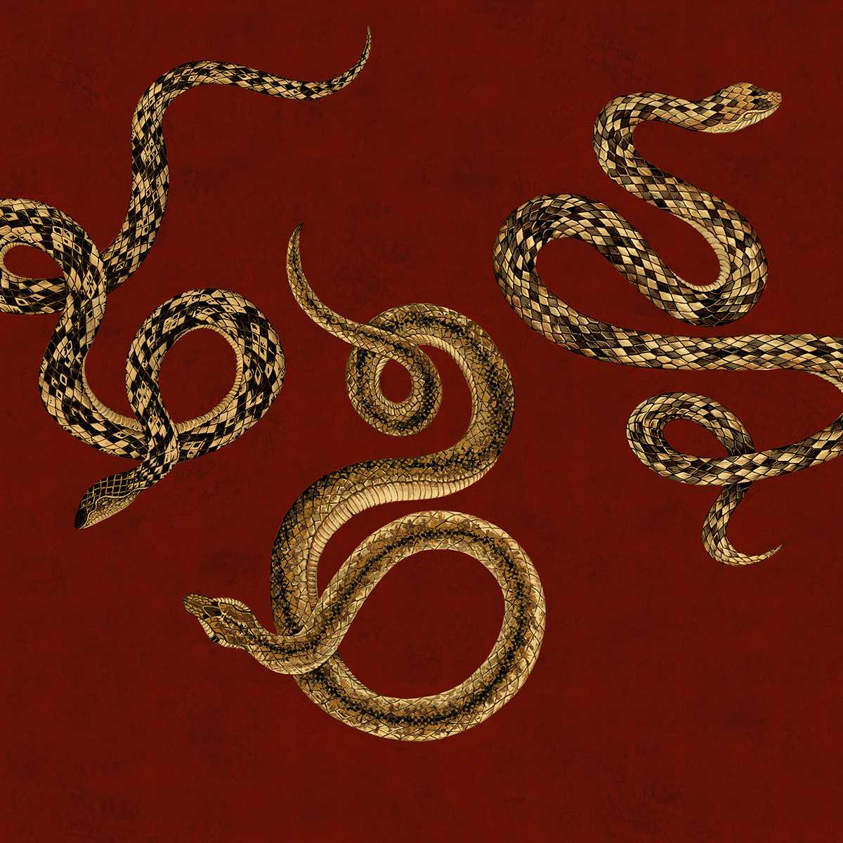 Serpent 10603