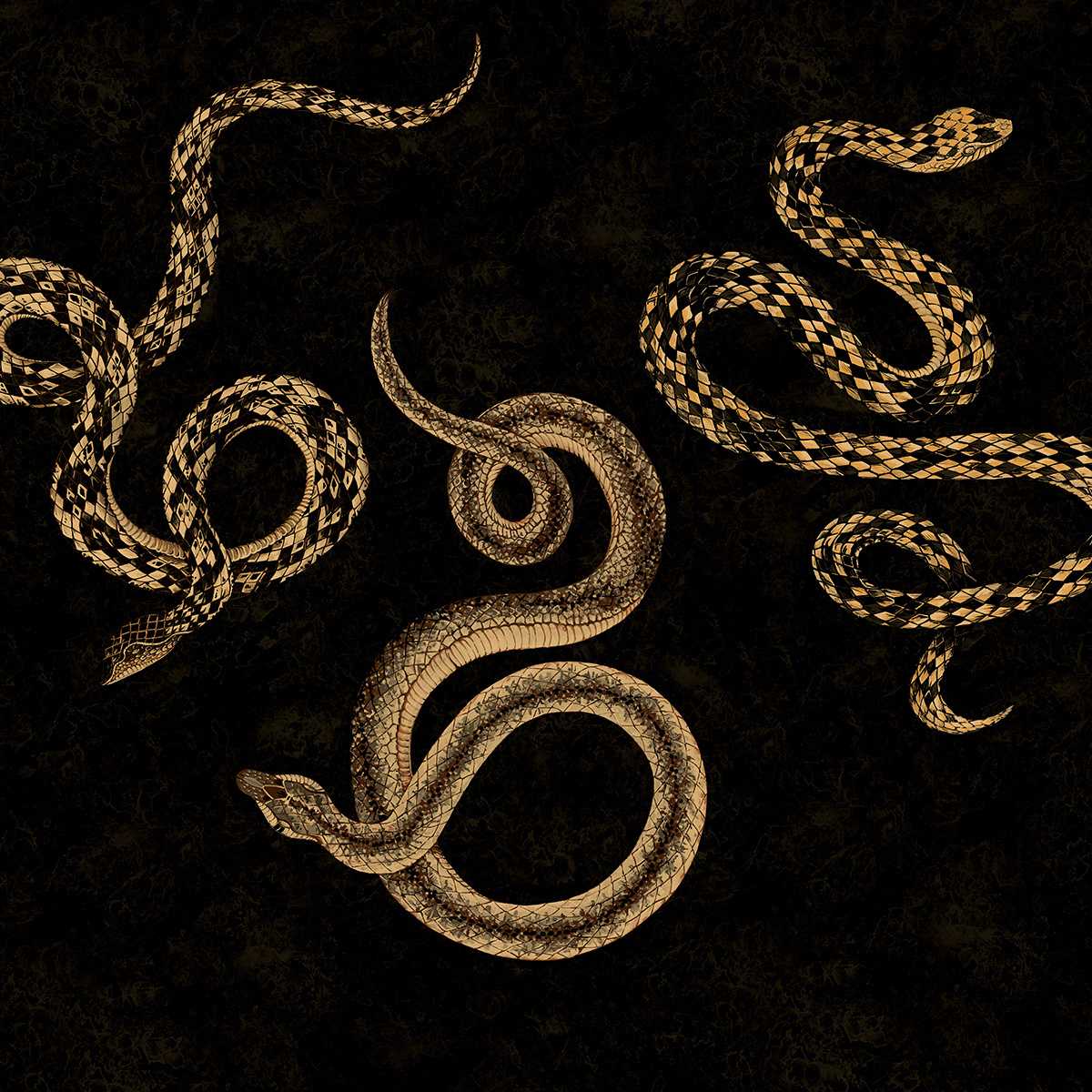 Serpent 10605