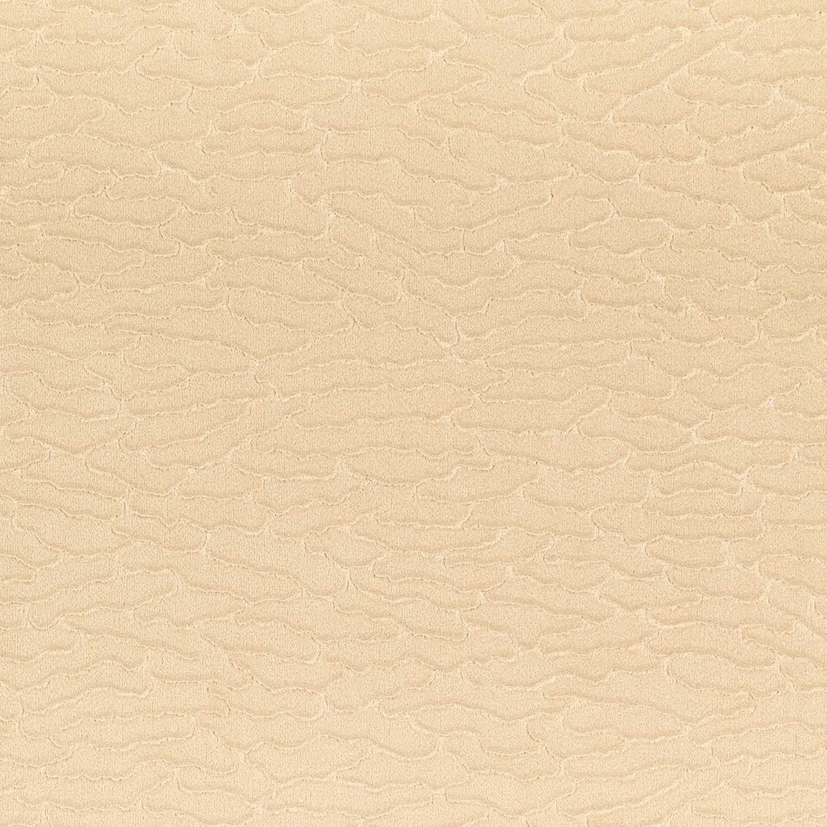 Velvet Dunes 36001