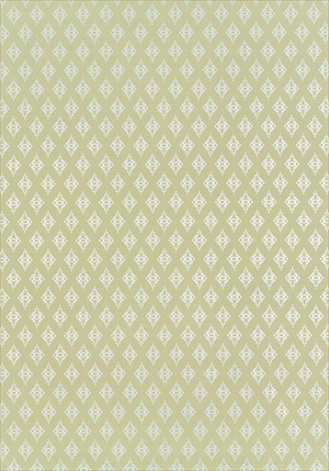Phoebe 839-T-6040