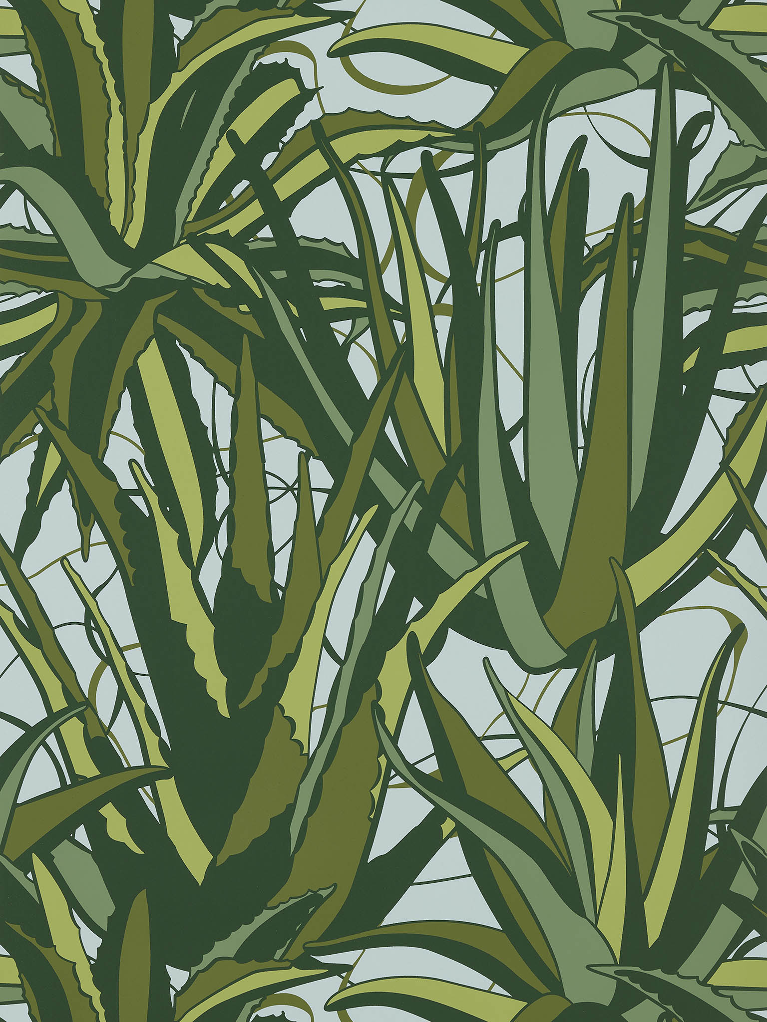 Agaves FP785002