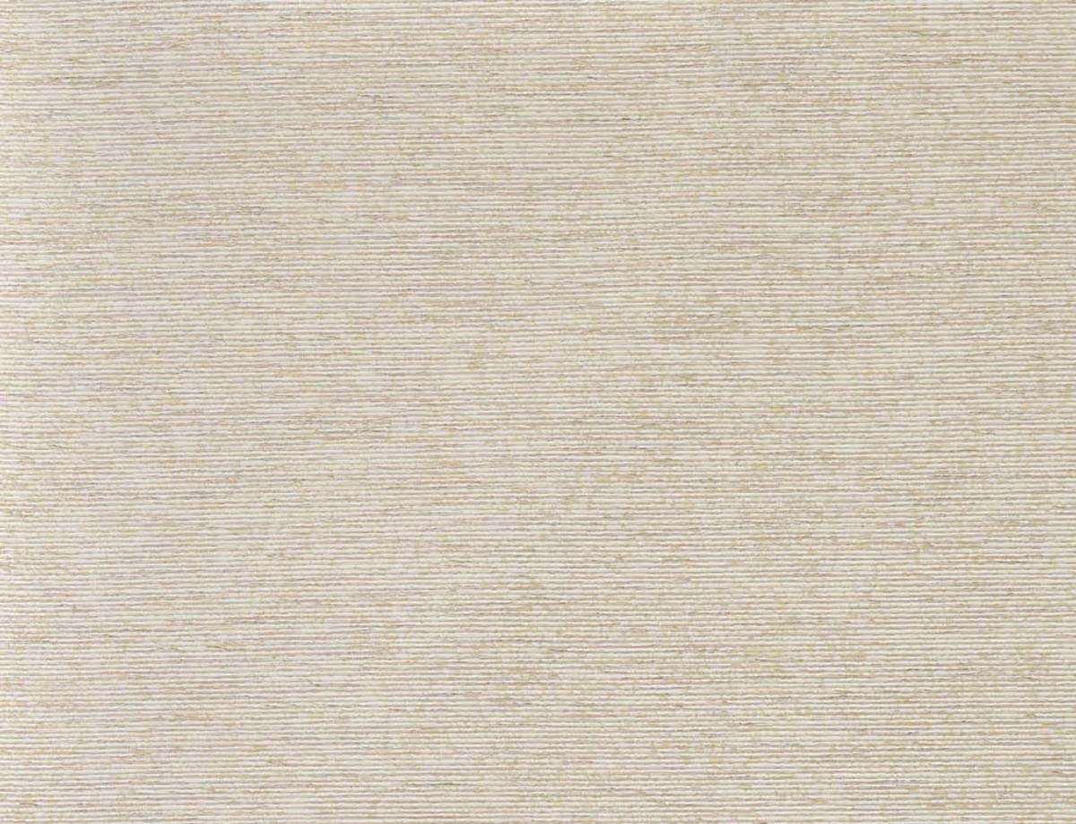 Aiden FP037001