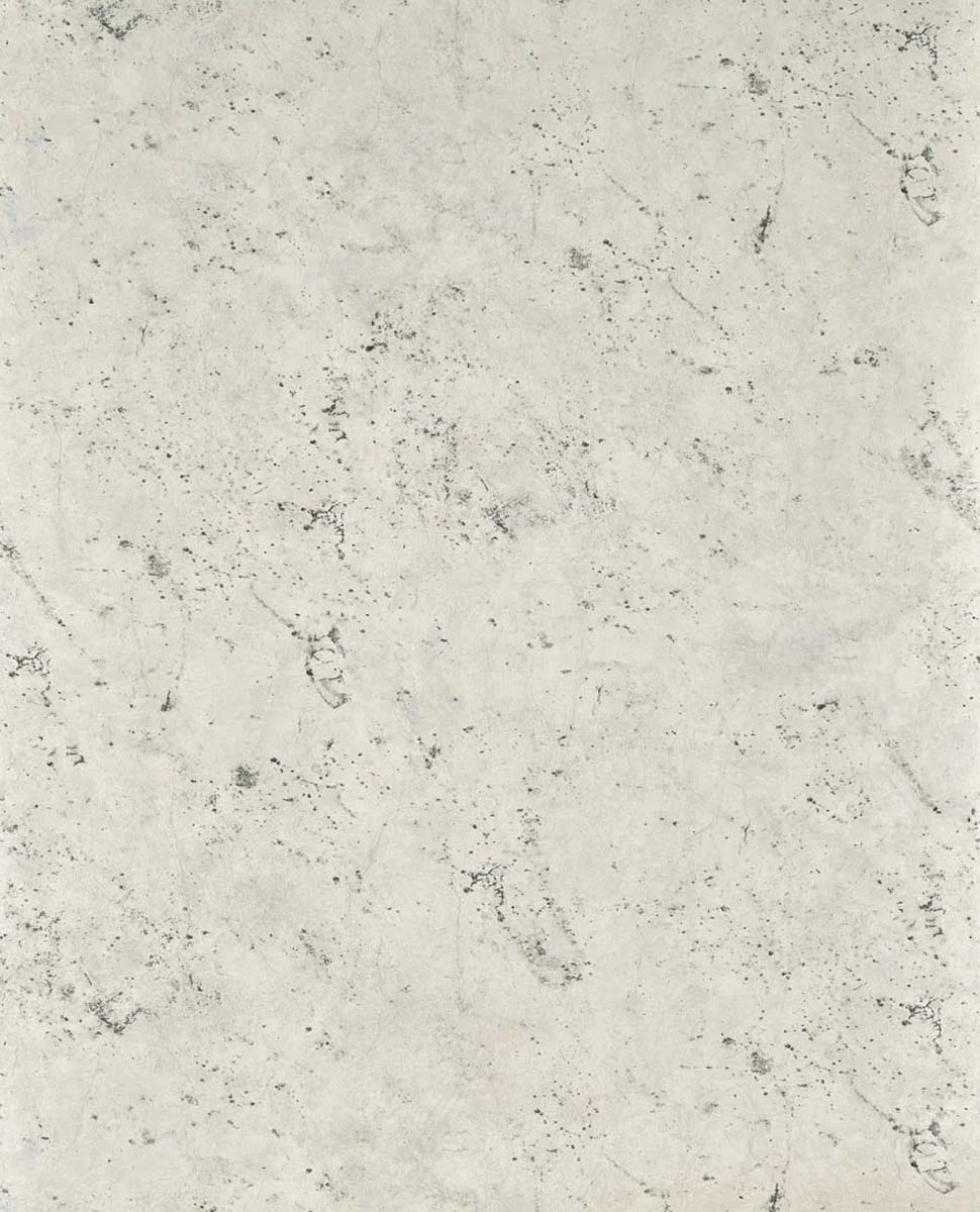 Arnaud FP020001