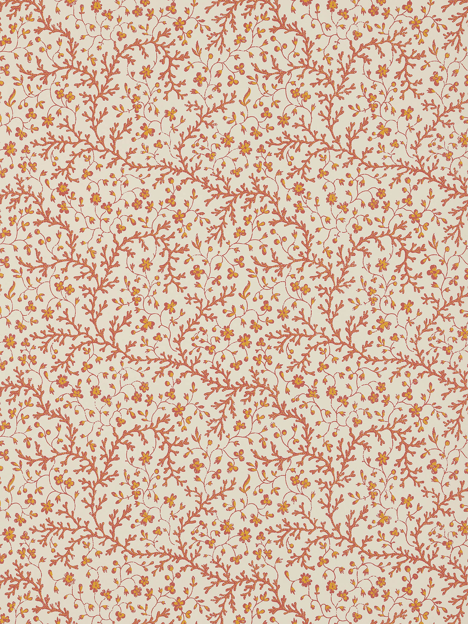 Fleurs De Corail FP787001