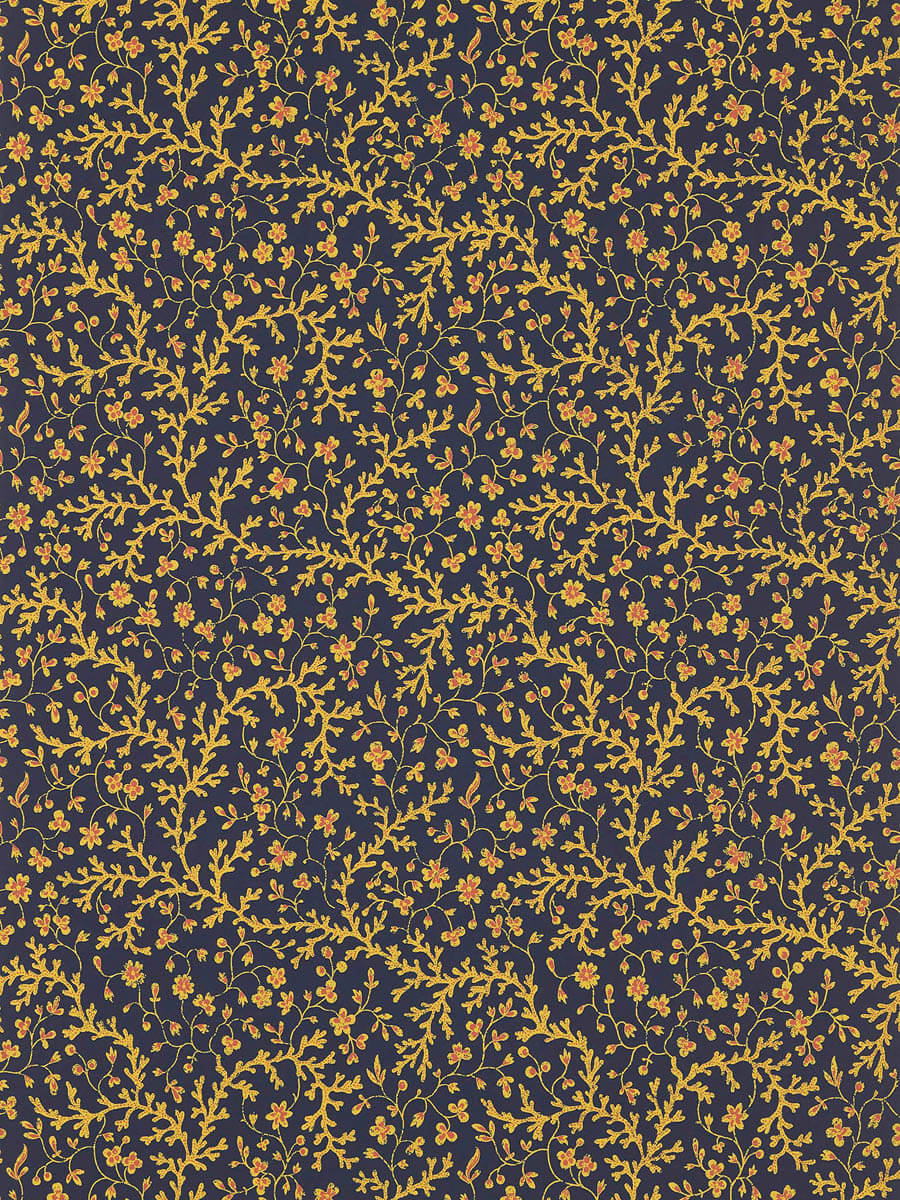 Fleurs De Corail FP787004