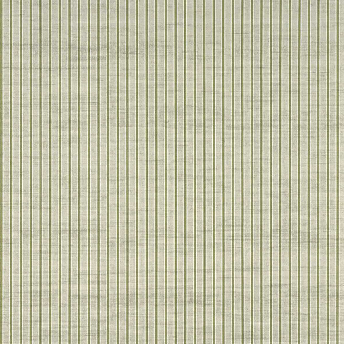 Minette FP139003