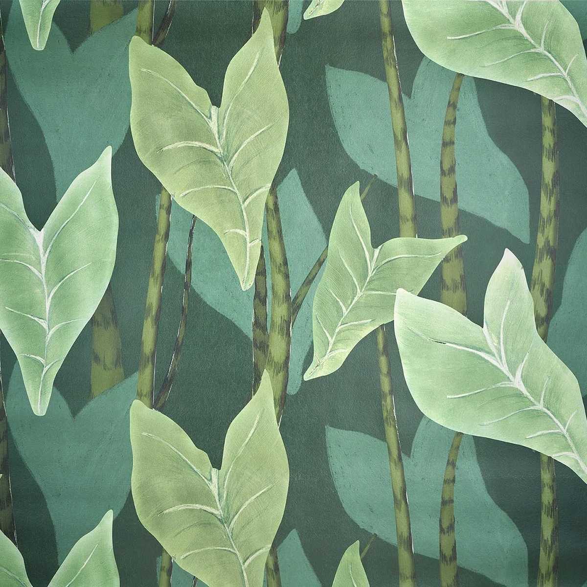 Monstera FP092002