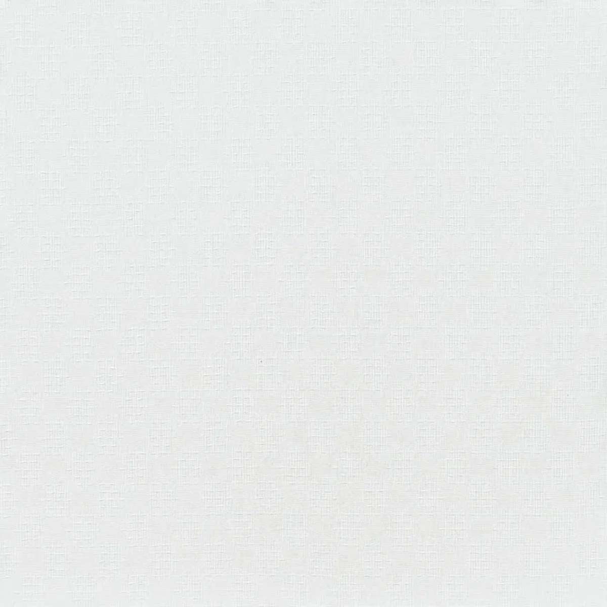 Petunia FP028001