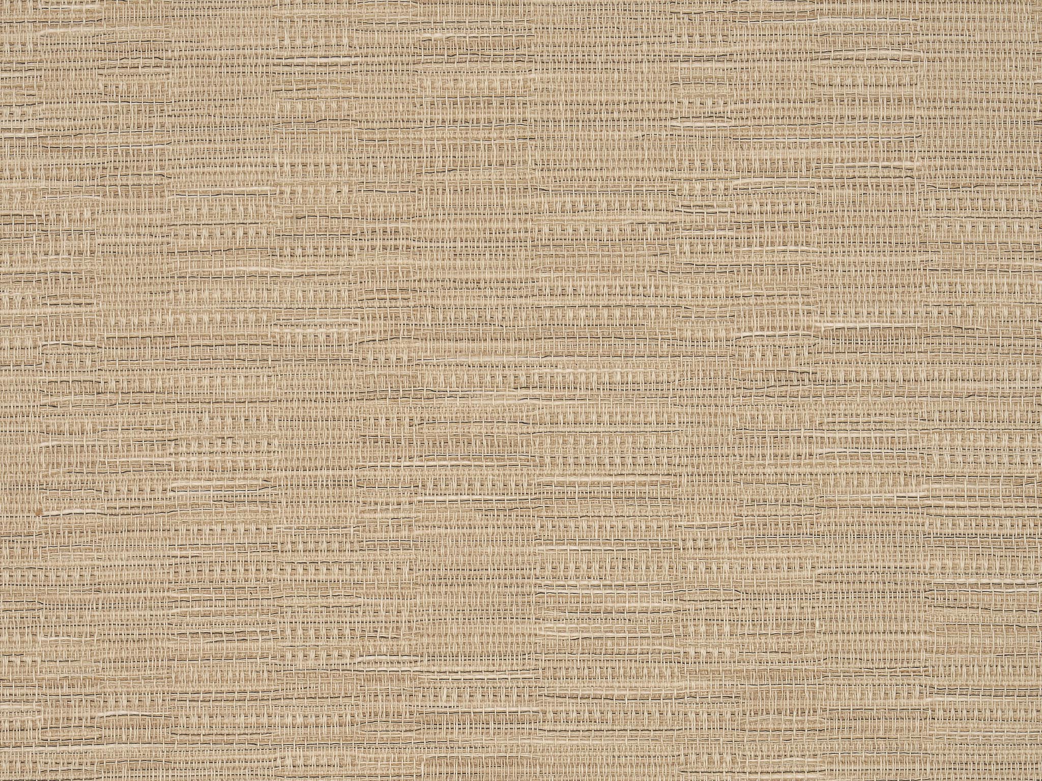 Sofia FP863003