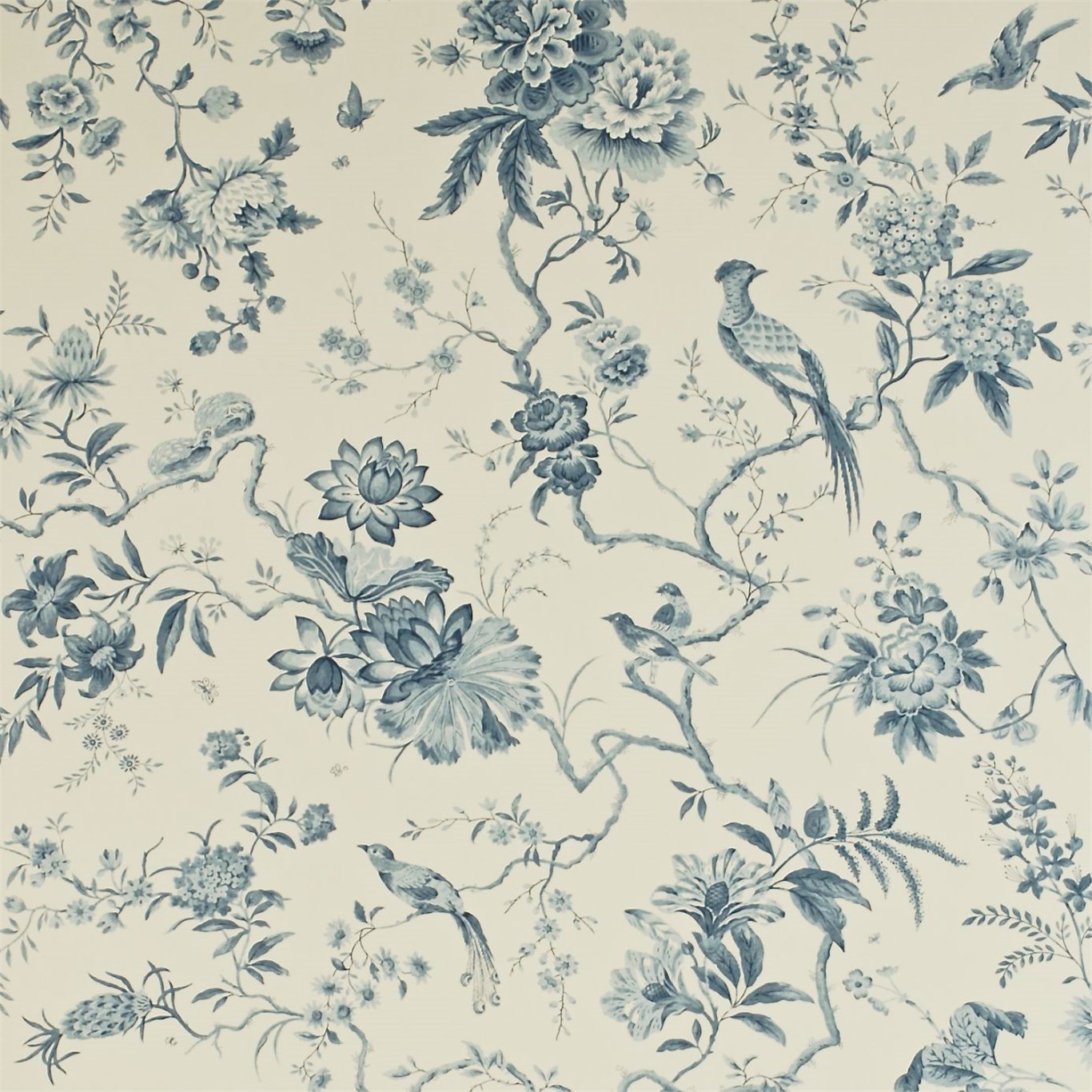 Pillemont Toile DPEMPI101