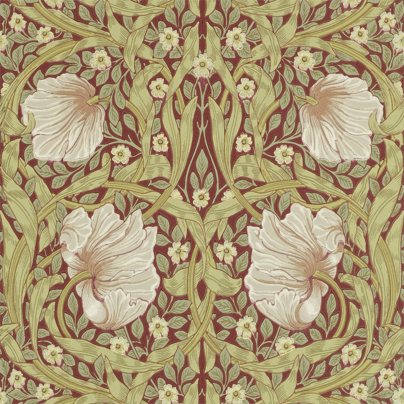 Pimpernel 210386