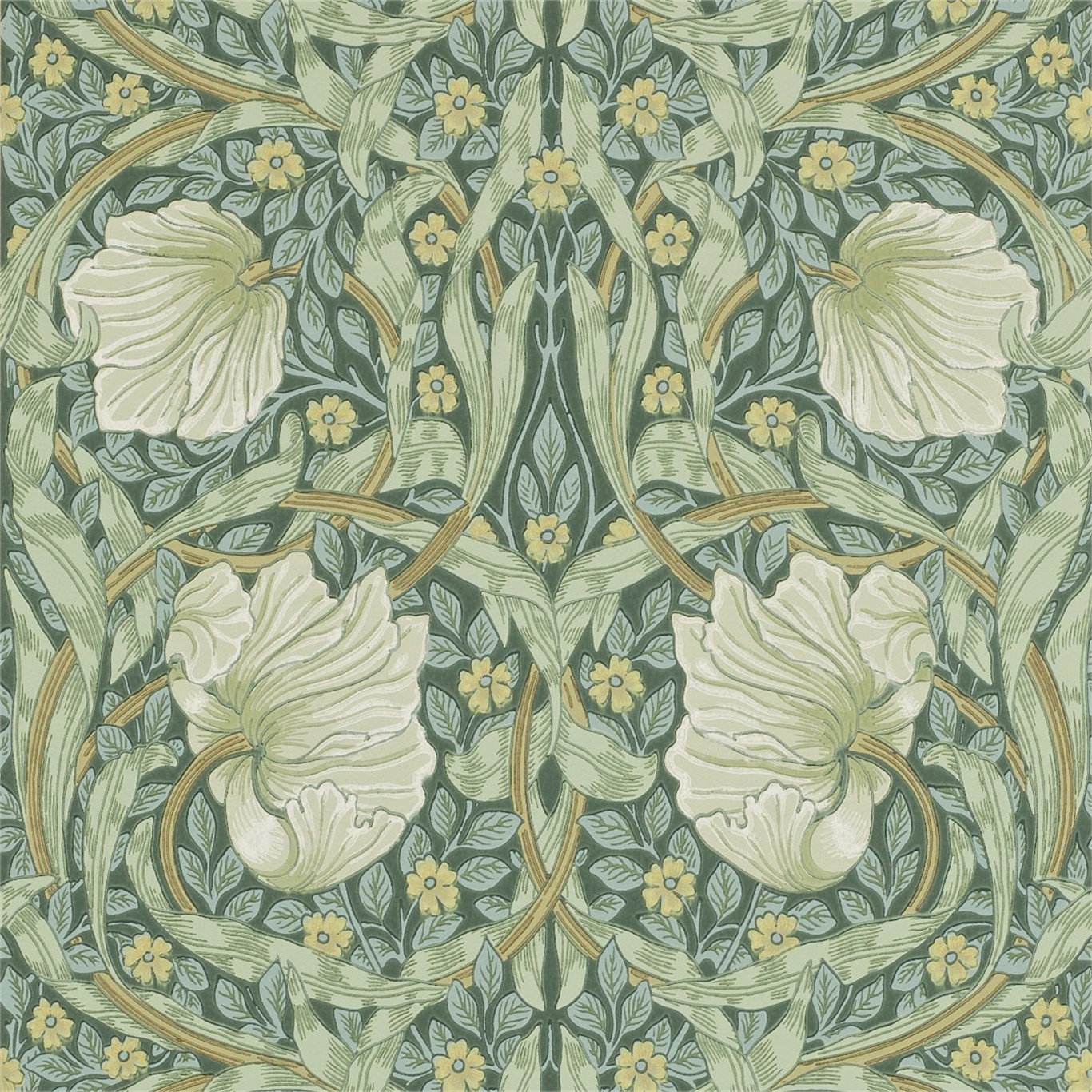 Pimpernel 216472