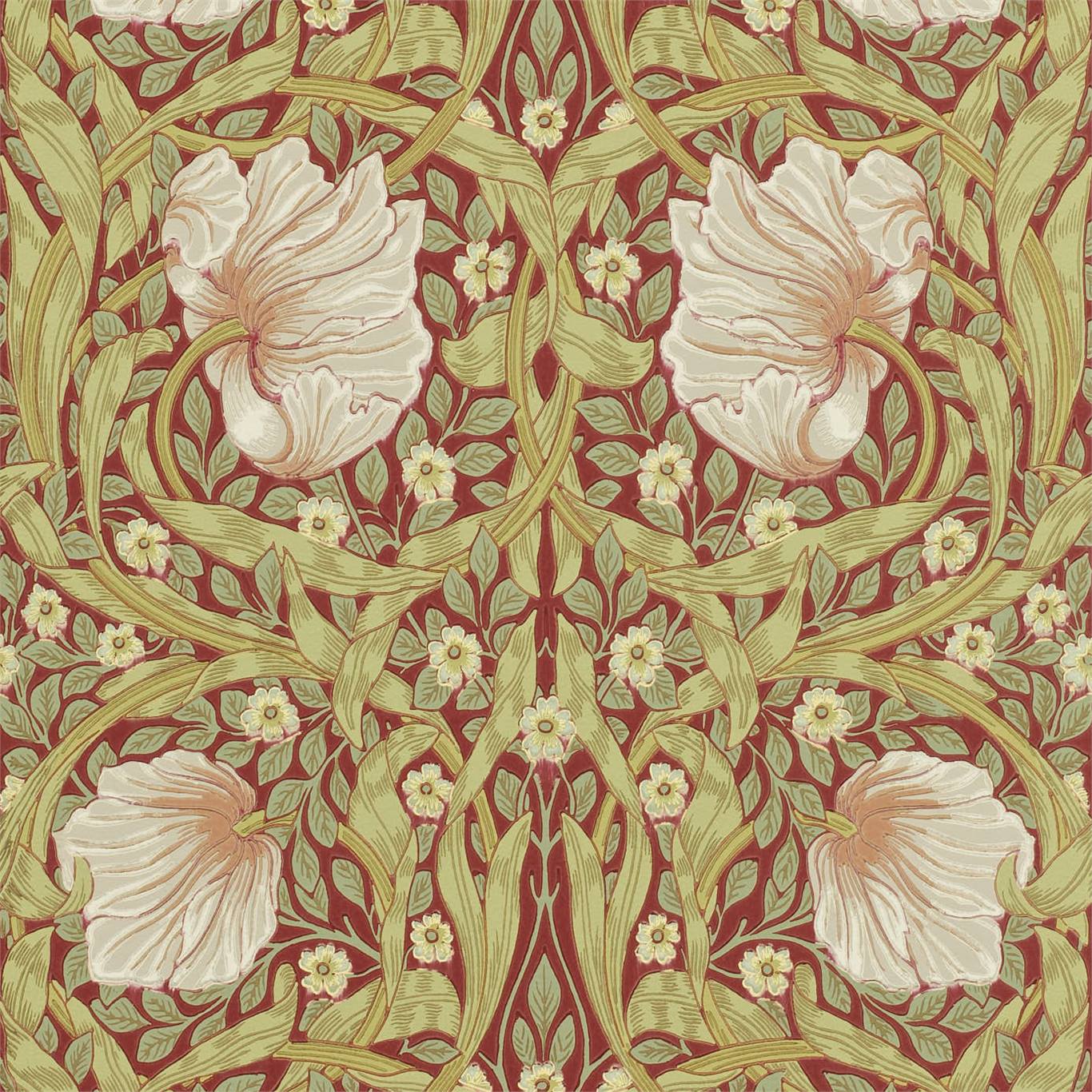 Pimpernel 216845