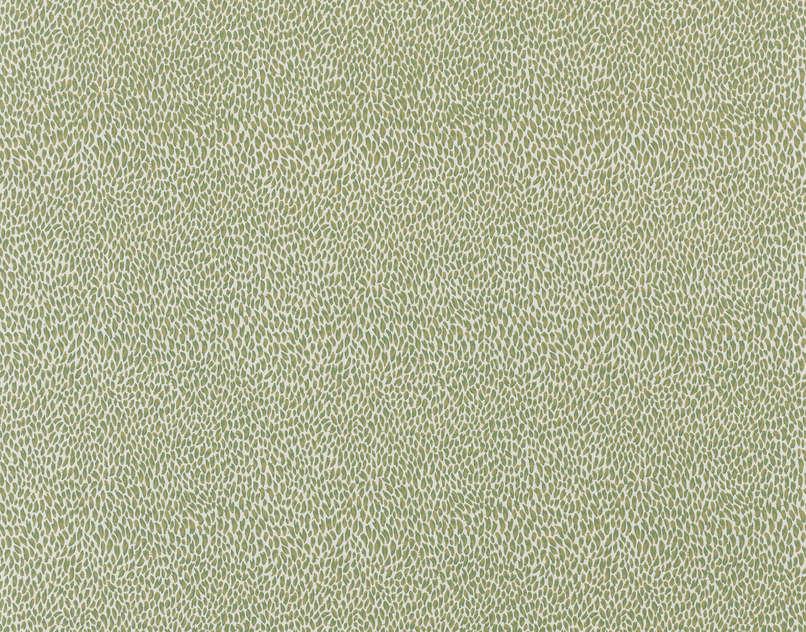 Plumettes LP108003