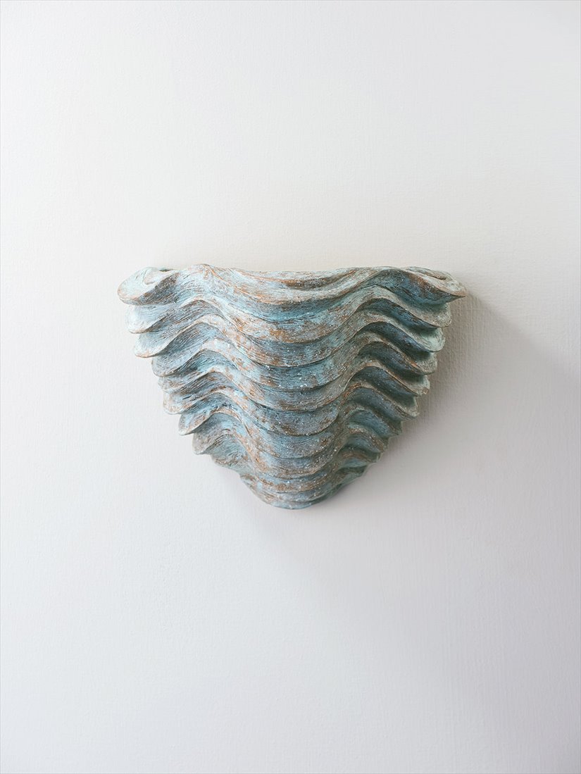 Clam Shell Wall Light Small TWL129S