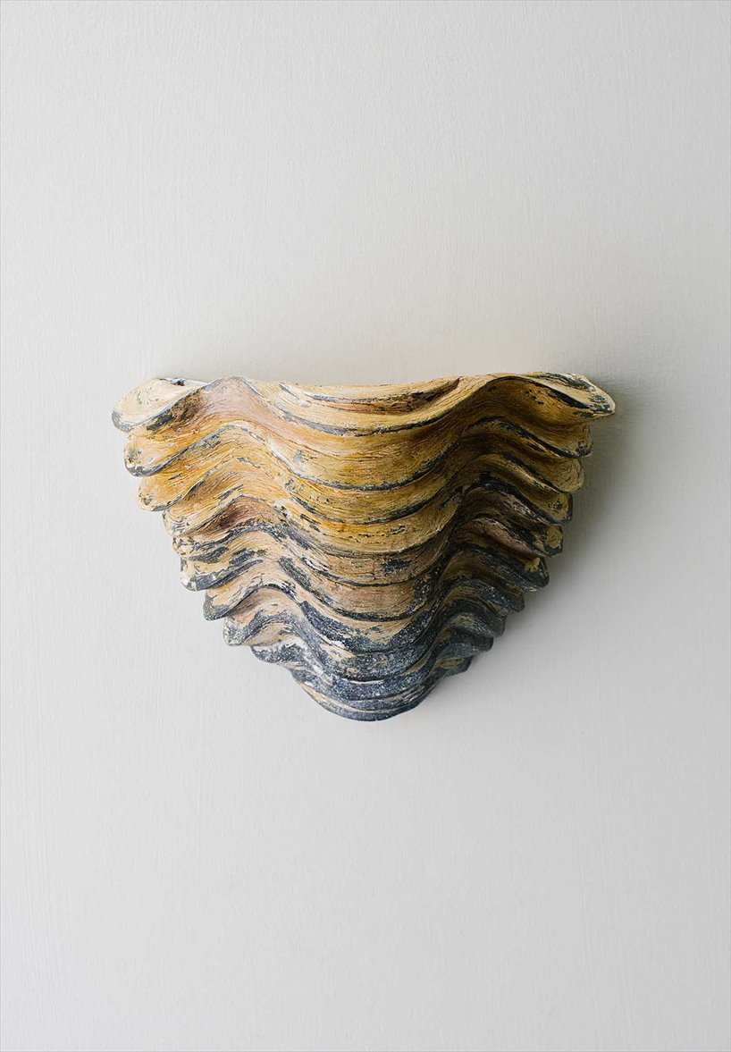 Clam Shell Wall Light Small TWL129S