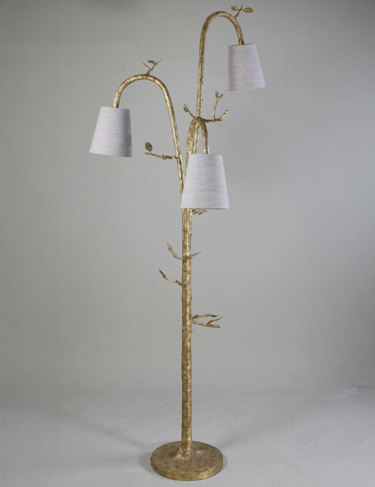 Ginny Floor Lamp MFL59-DCG