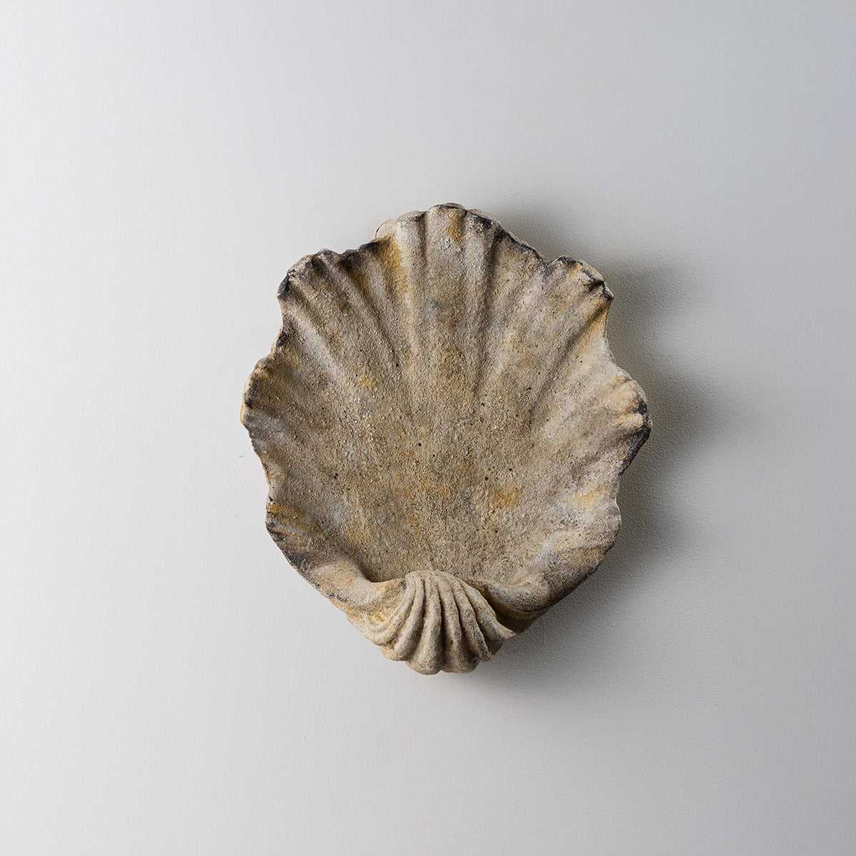 Scallop Wall Light Small TWL52S-BSE