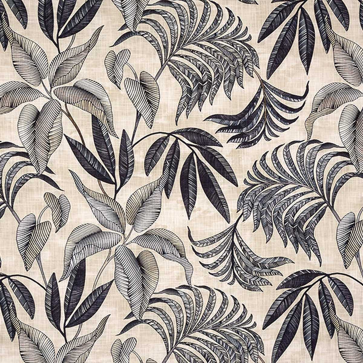 Bryony Charcoal