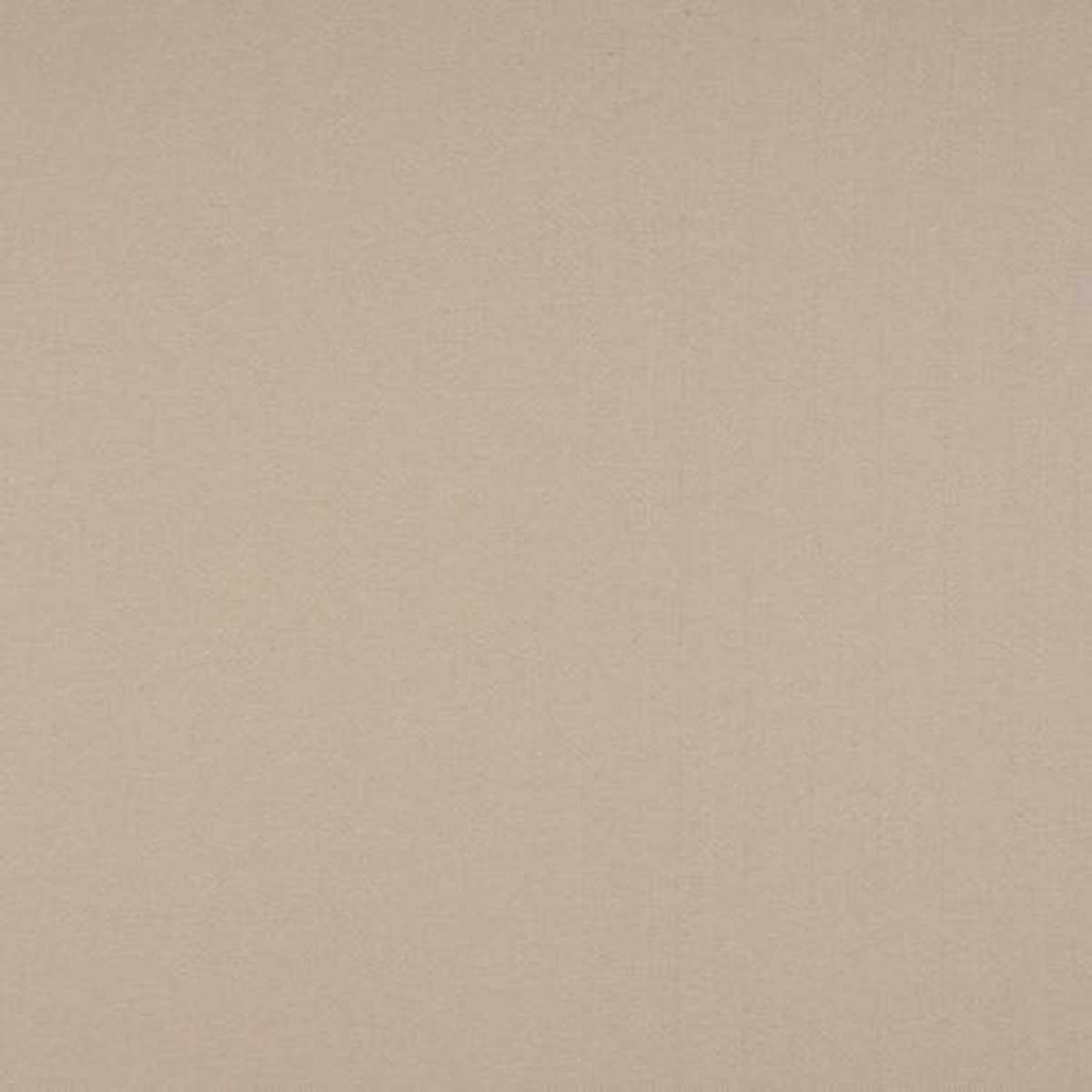Carnegie Ivory