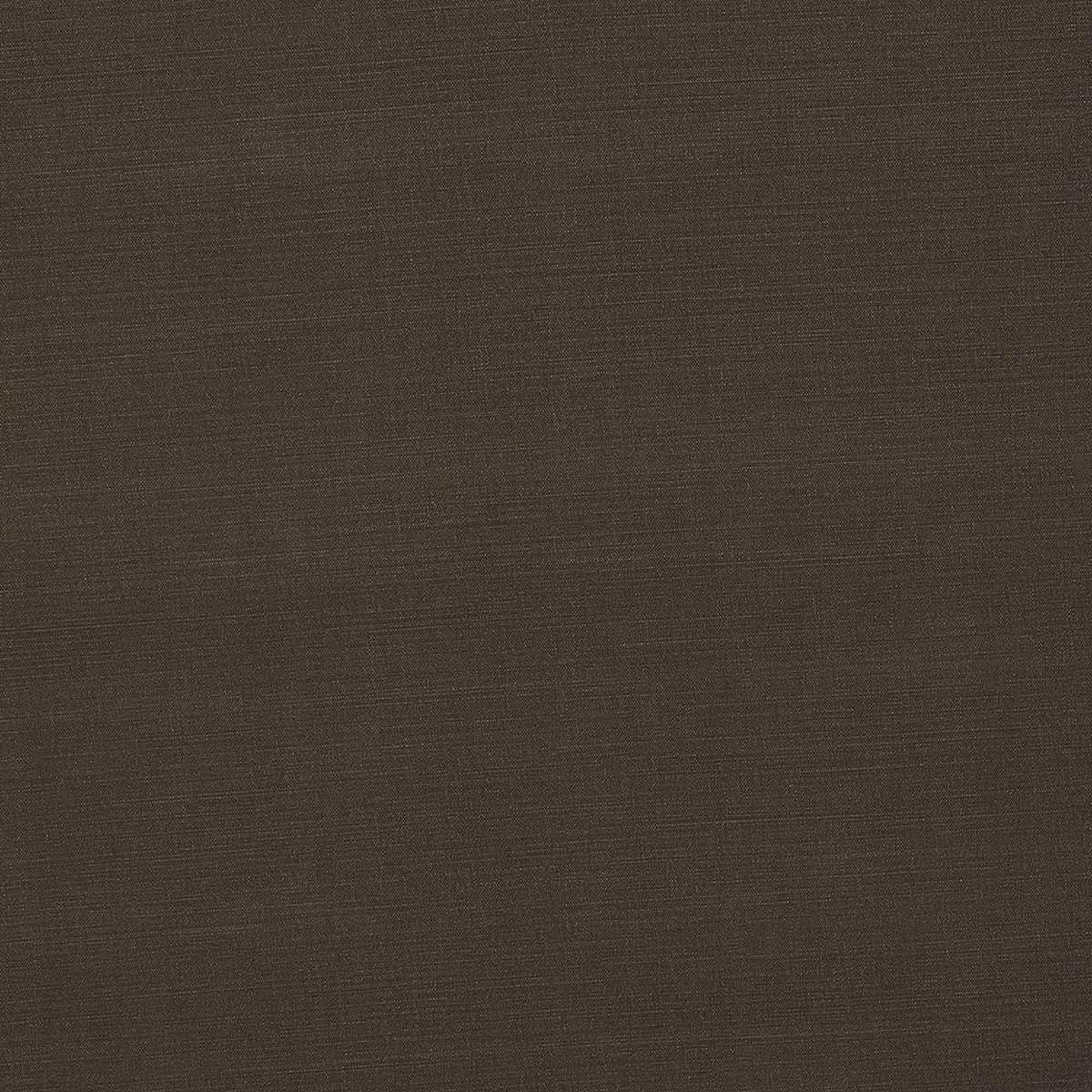 Carrera Cocoa