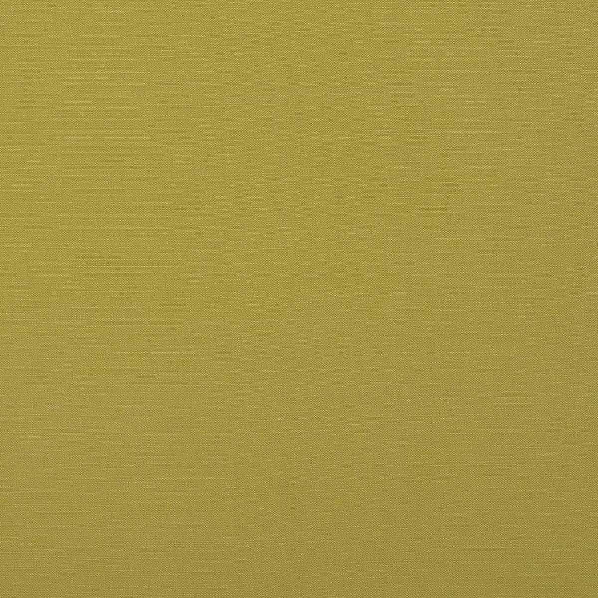 Carrera Lime