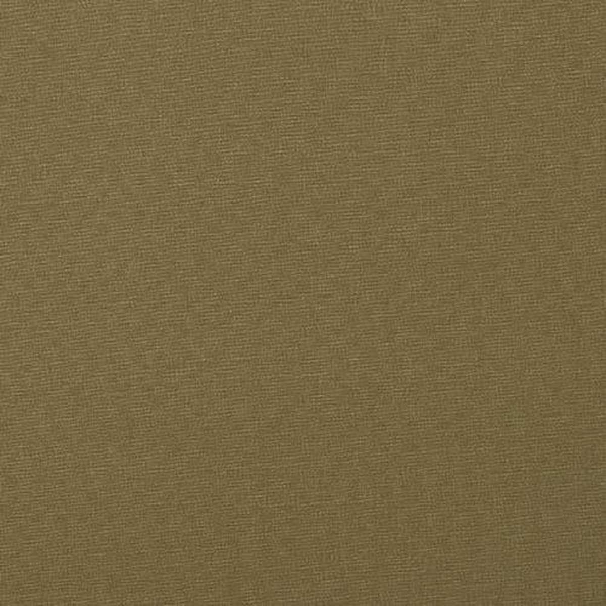 Carrera Olive
