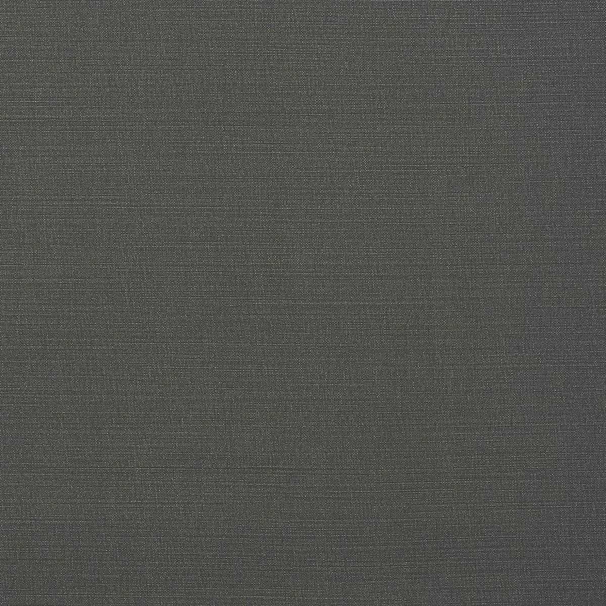 Carrera Pewter