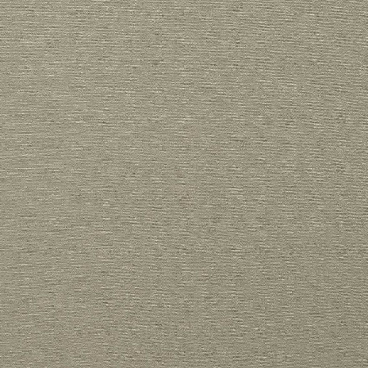 Carrera Putty