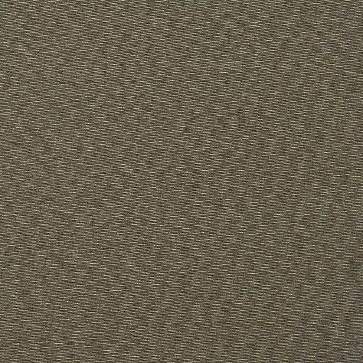 Carrera Taupe