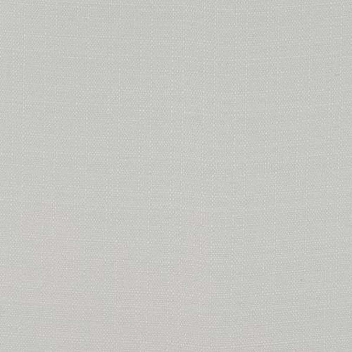Forza White